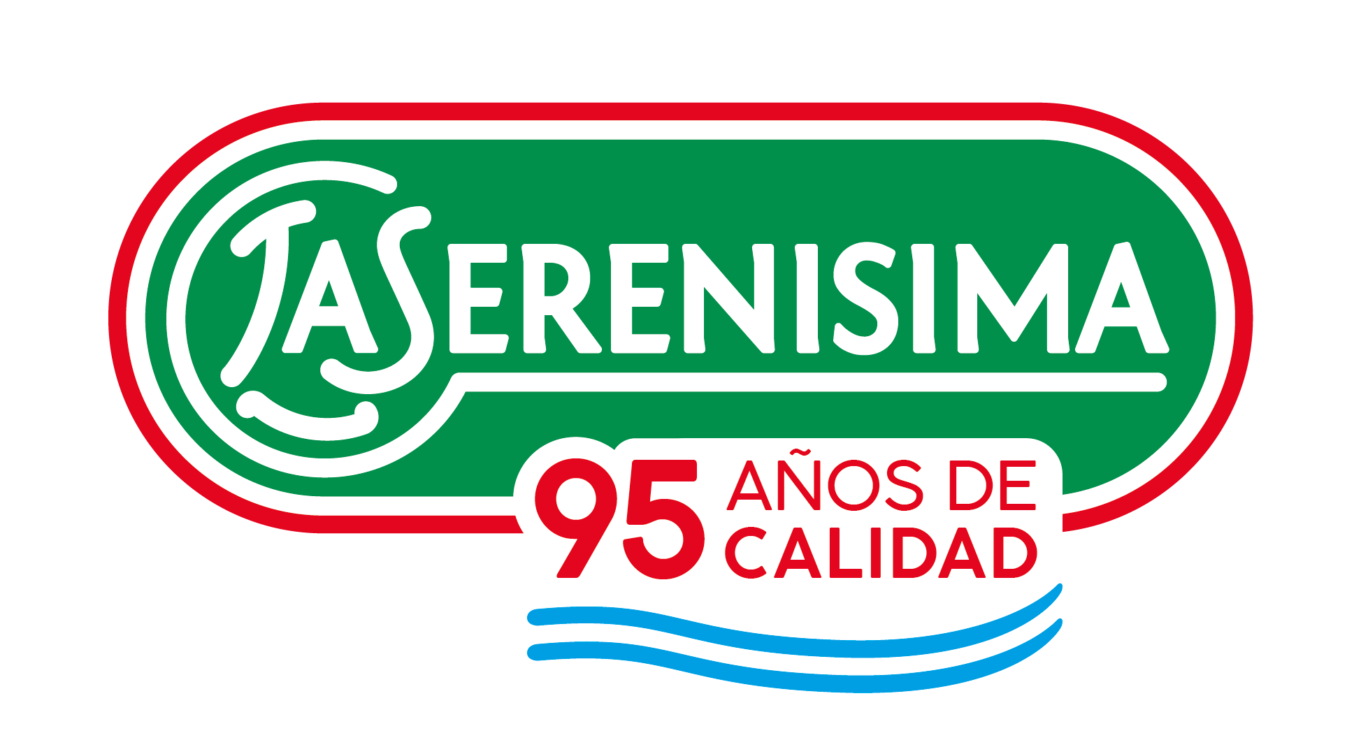 Logo 95 años