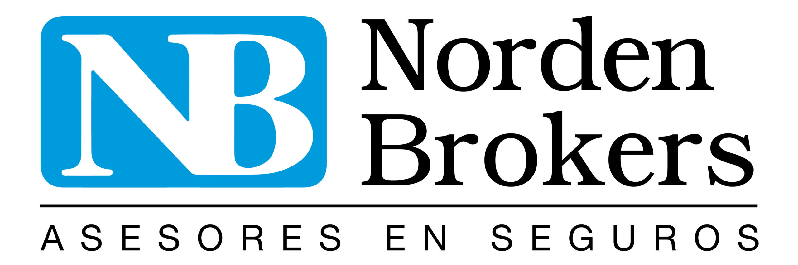 logo nb